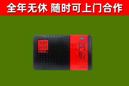 昭阳区回收阿胶